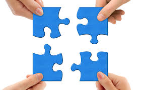 membership organisations puzzle